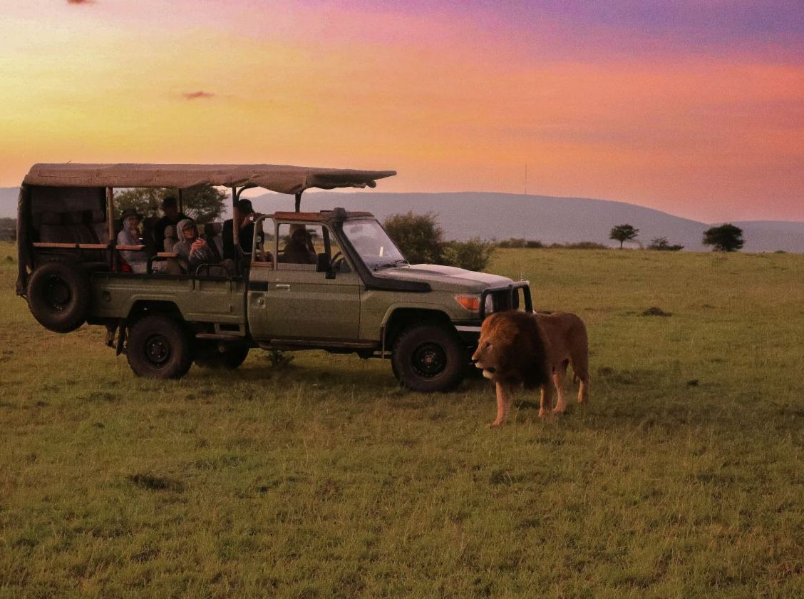 A safari vehicle on a sunrise drive